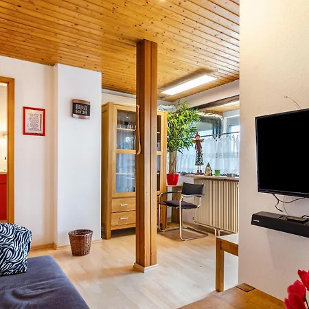 Apartment Dachwohnung Schneider Bingen
