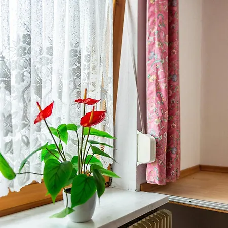 Dachwohnung Schneider Bingen Apartment